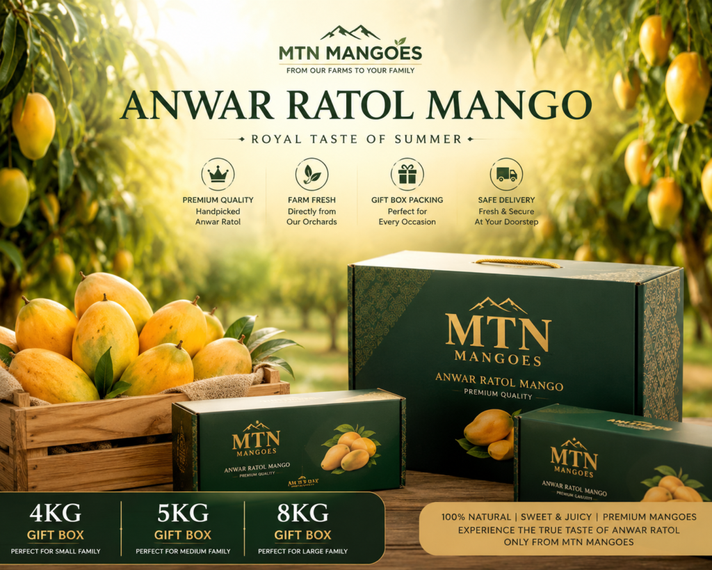 Anwar Ratol Mango premium boxes packed for delivery