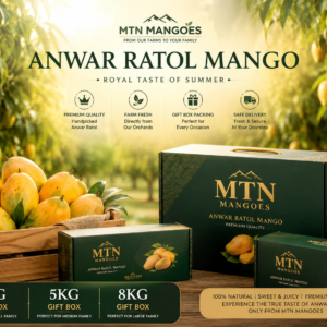 Anwar Ratol Mango premium boxes packed for delivery