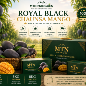 Black Chaunsa mango