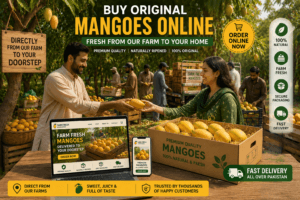 Buy mangoes online Pakistan with farm fresh mango delivery from a real mango farm