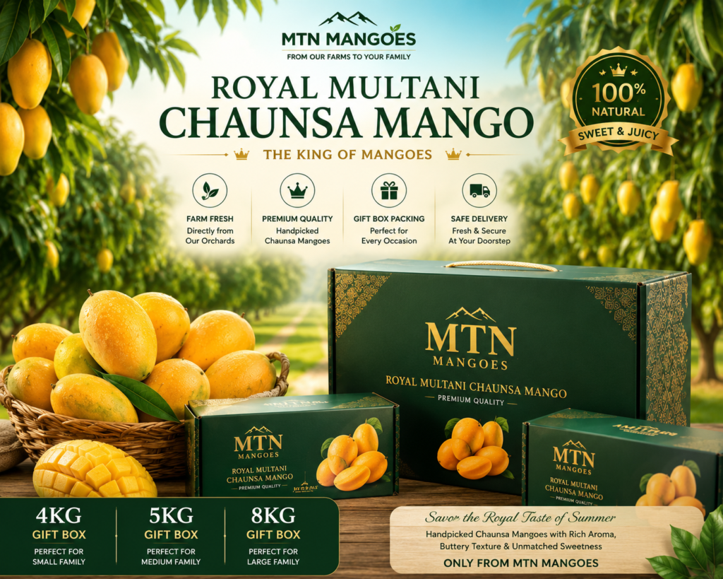 Premium Moosmi Chaunsa Mangoes from Multan
