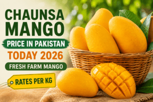 Chaunsa mango price in Pakistan today 2026 fresh farm mango rates per kg