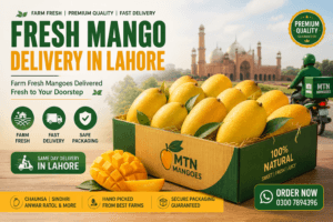 Fresh mango delivery in Lahore with farm fresh Chaunsa and Sindhri mangoes online
