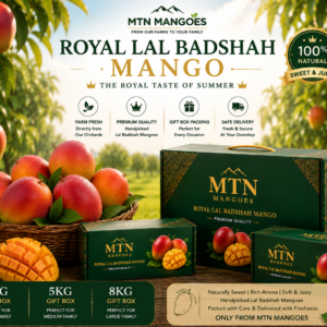 Lal Badshah Mango