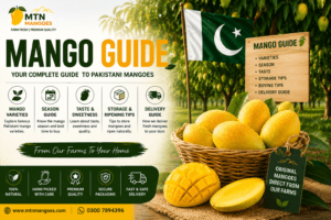 Mango Guide showing a lush mango orchard with ripe mangoes and an educational farming guide concept