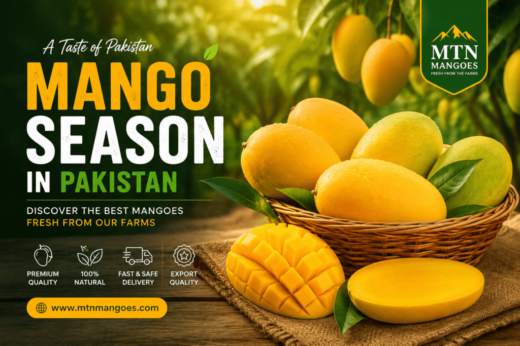 Mango Season in Pakistan 2026 | Best Time to Buy Fresh Mangoes