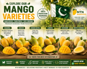 Different Pakistani mango varieties including Chaunsa Sindhri Anwar Ratol Langra and White Chaunsa with Pakistan flag