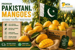 Premium Pakistani mangoes with Pakistan flag and fresh mango orchard by MTN Mangoes