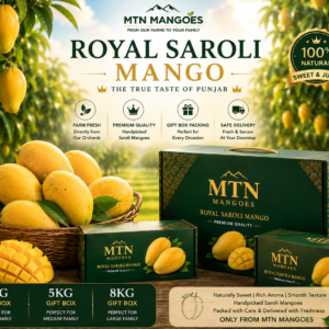 Saroli Mango gift box packaging at MTN Mangoes