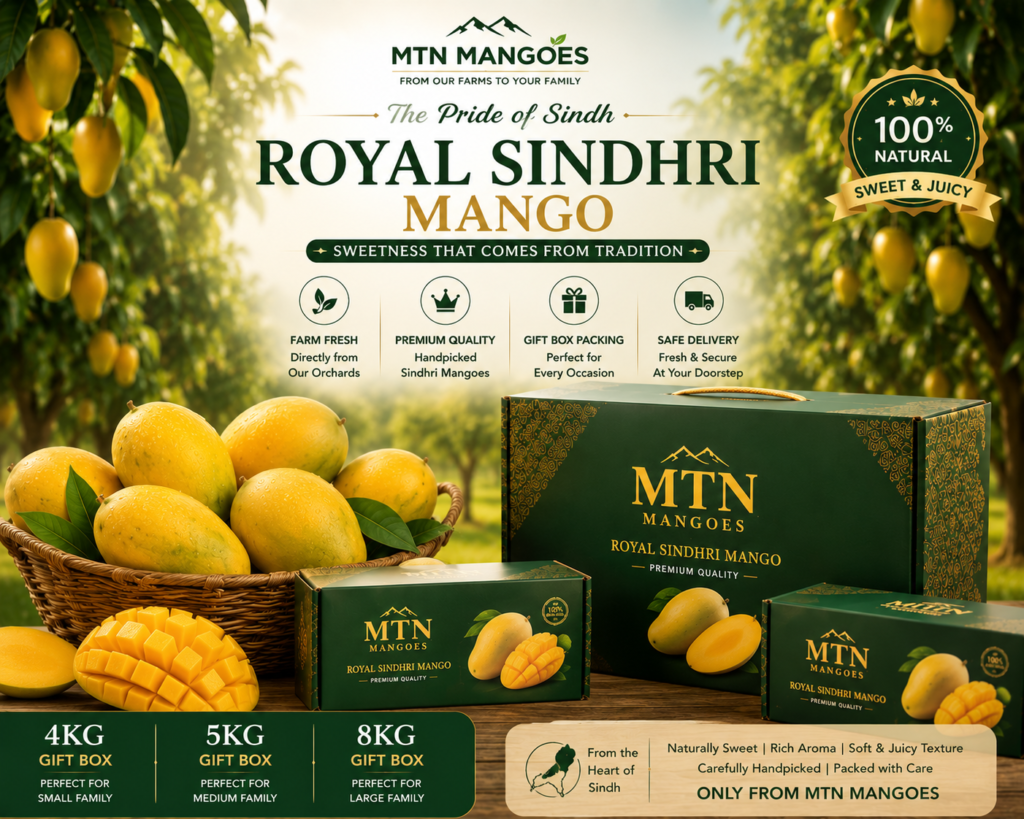 Fresh Sindhri Mango export boxes prepared by MTN Mangoes