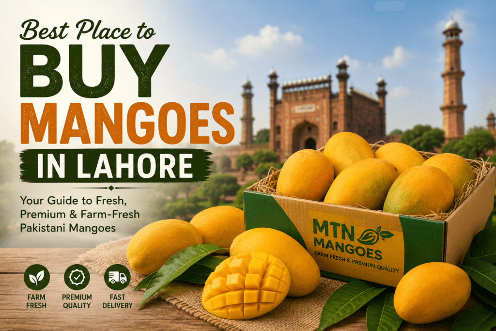 Premium Pakistani mangoes including White Chaunsa, Sindhri, Anwar Ratol, and Black Chaunsa displayed in gift boxes for customers looking for the best place to buy mangoes in Lahore.